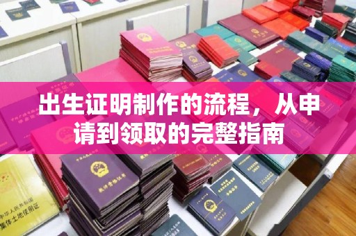 鄄城出生证明制作的流程，从申请到领取的完整指南
